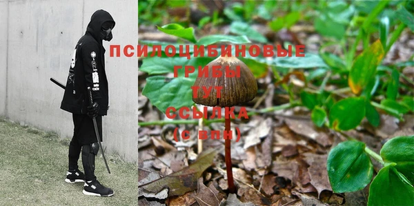 скорость Алексеевка