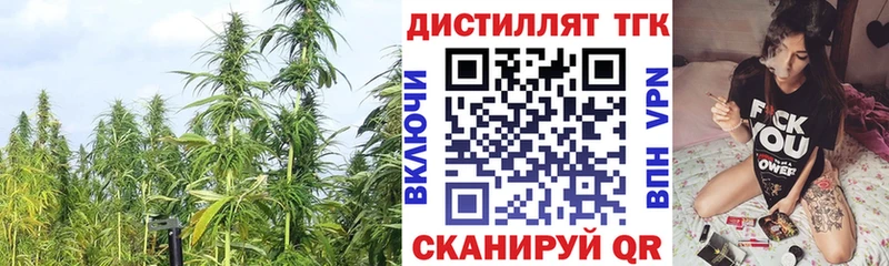OMG как войти  Бирюч  Дистиллят ТГК THC oil 