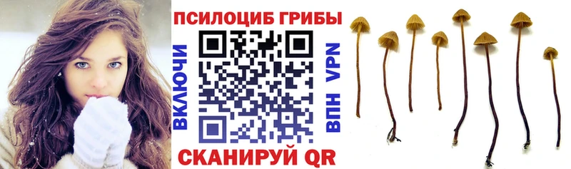 Псилоцибиновые грибы Psilocybe  что такое наркотик  Бирюч 